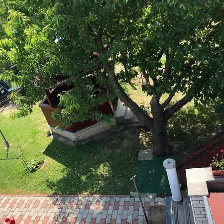 Major Csalad Daire Hévíz