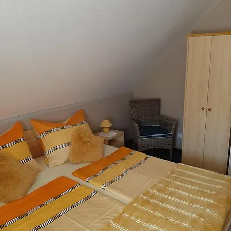 Daire Major Csalad *