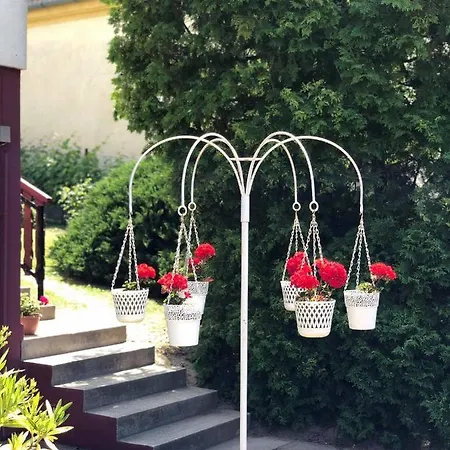 Major Család Apartmán