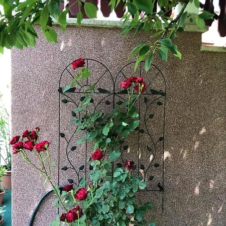 Apartman Major Család *