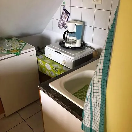 Daire Major Csalad *