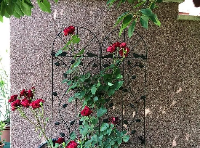 Lägenhet Major Csalad *